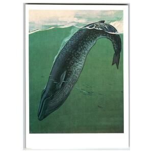 V. A. Gorbatov Blue Whale Art Postcard 1990 Russian Marine Biology